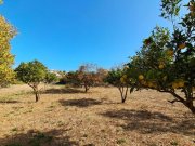 Armeni bei Chania MIT VIDEO: Kreta, Armeni: Erstklassiges Baugrundstück mit Bergblick, Obstgarten und Strandnähe Grundstück kaufen